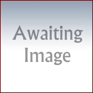 Classic Fine Granulated Skimmed Milk 500g